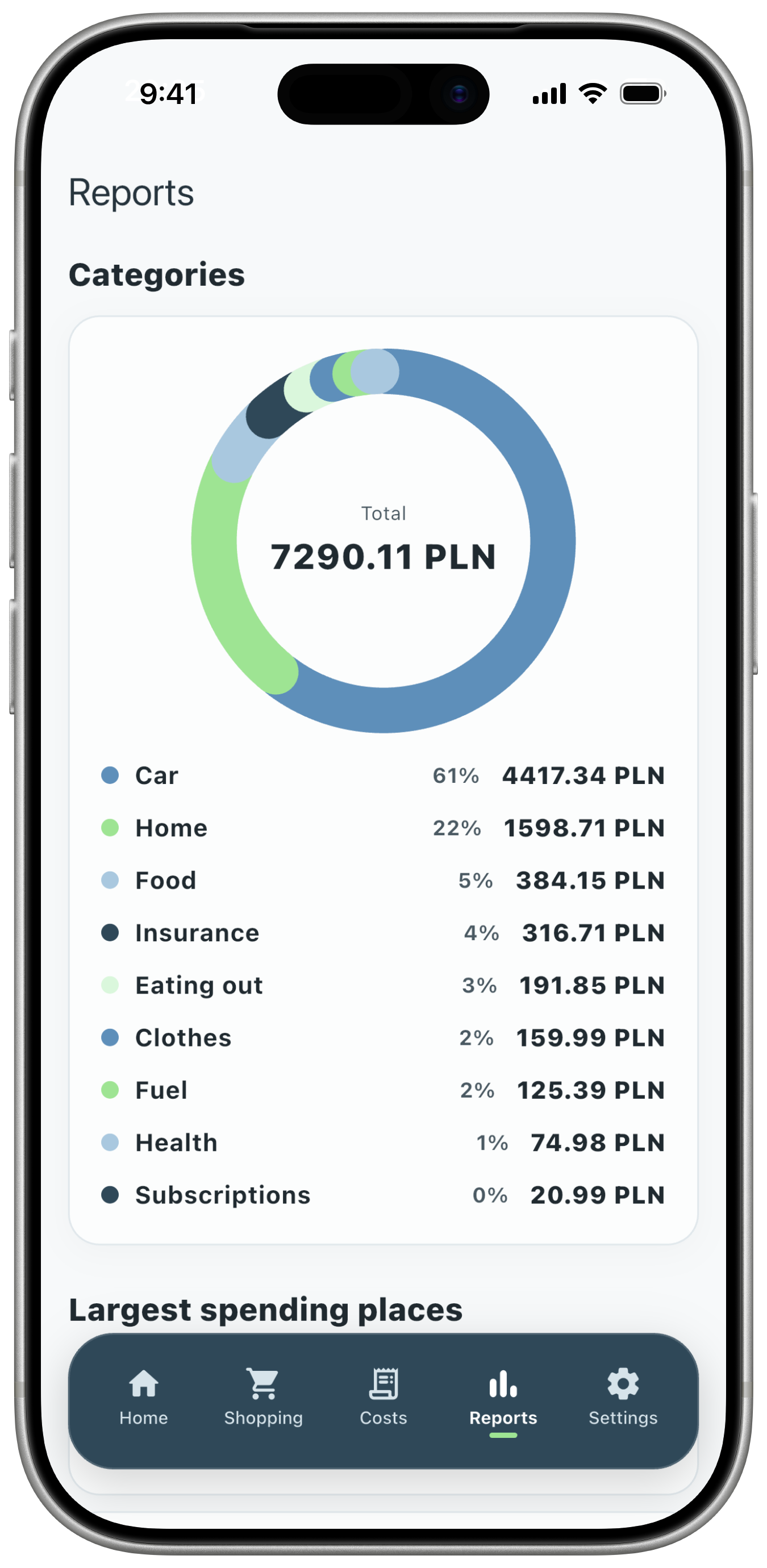 Expense report by category